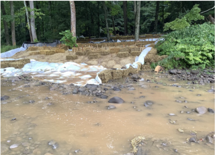 DEP: Marcellus Shale company polluted Loyalsock Creek